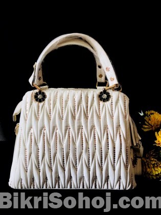 Ladies handbag